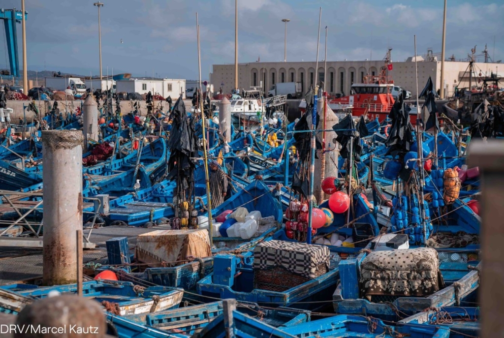 Der Hafen von Essaouira