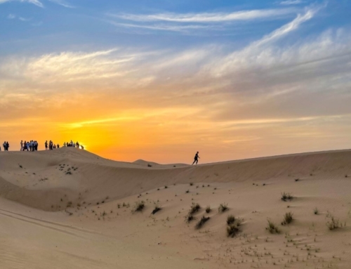 Von Wolkenkratzern bis zur Wüste: Dubai in all seinen Facetten