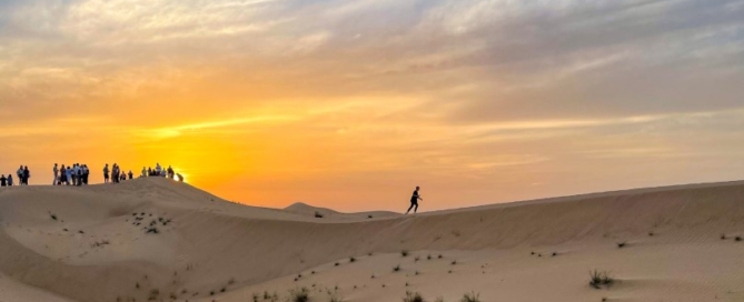 Von Wolkenkratzern bis zur Wüste: Dubai in all seinen Facetten