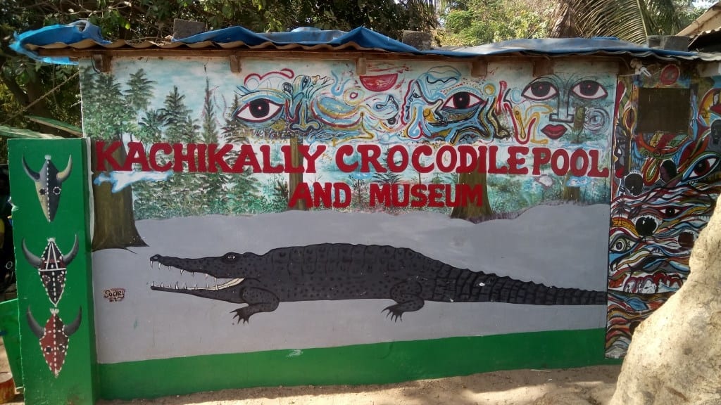 Krokodil-Farm