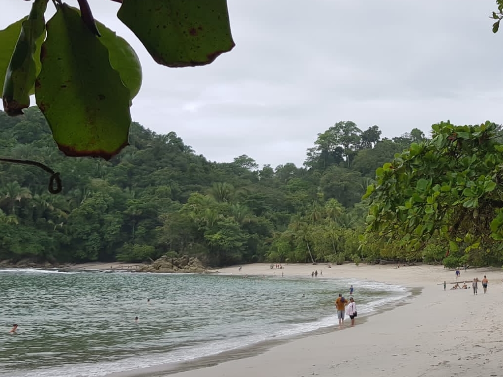 ein Strand in Costa Rica